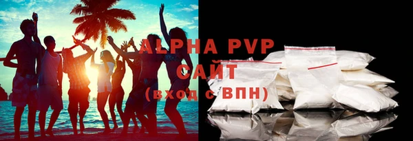 шишки Надым