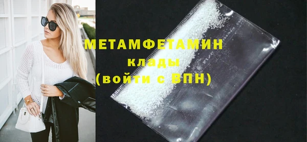 шишки Надым
