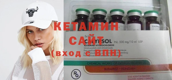 шишки Надым