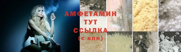 шишки Надым