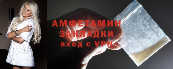 шишки Надым
