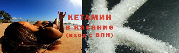 шишки Надым