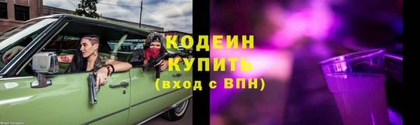 шишки Надым