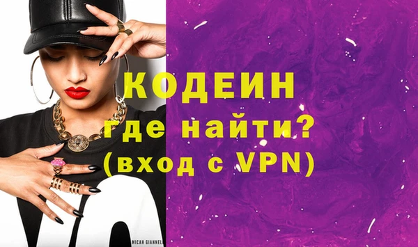 шишки Надым