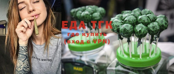 шишки Надым