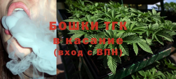 шишки Надым