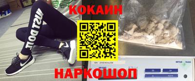 индика Новозыбков