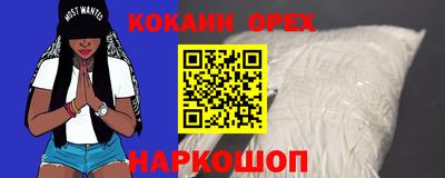 индика Новозыбков