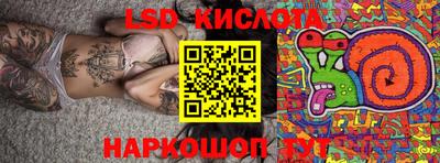 индика Новозыбков