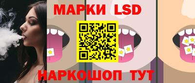 индика Новозыбков