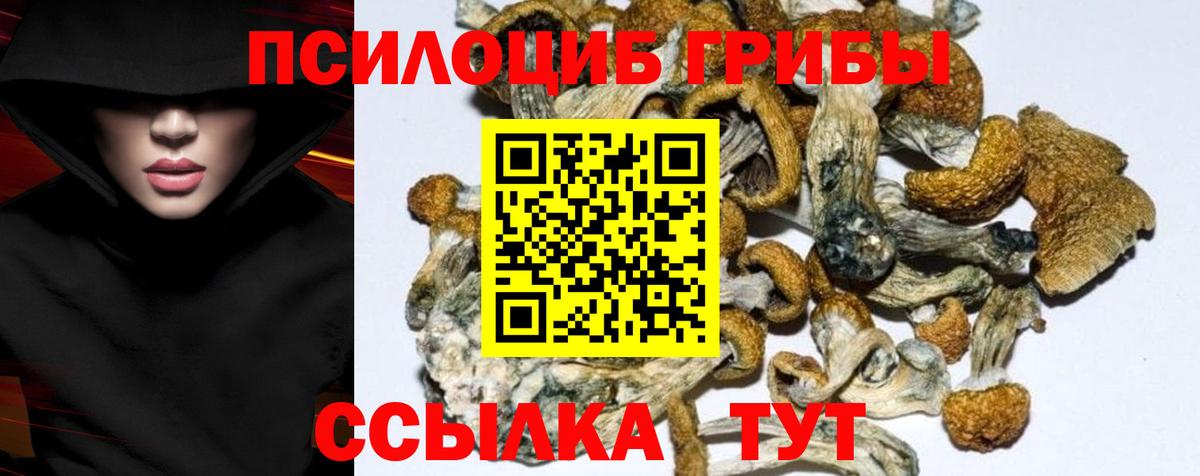Галлюциногенные грибы MAGIC MUSHROOMS Пенза