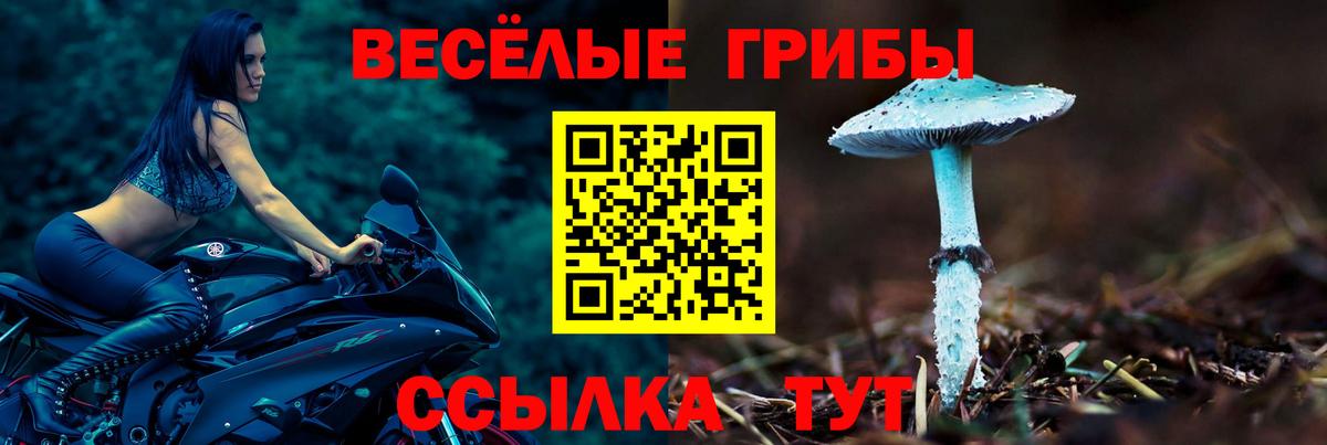 Галлюциногенные грибы прущие грибы  Псилоцибиновые грибы MAGIC MUSHROOMS  Вход с VPN  Пенза 
