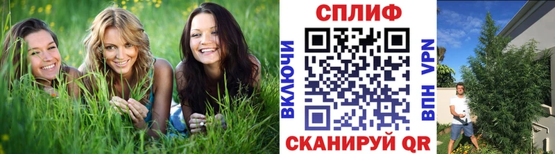 маркетплейс клад  Пенза  Бошки марихуана сатива  наркотики 